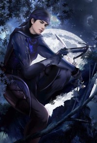 《王爷家的后院